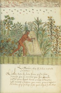 Histoire Naturelle des Indes door Unbekannt Unbekannt